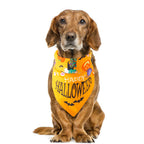 Halloween pet bandana