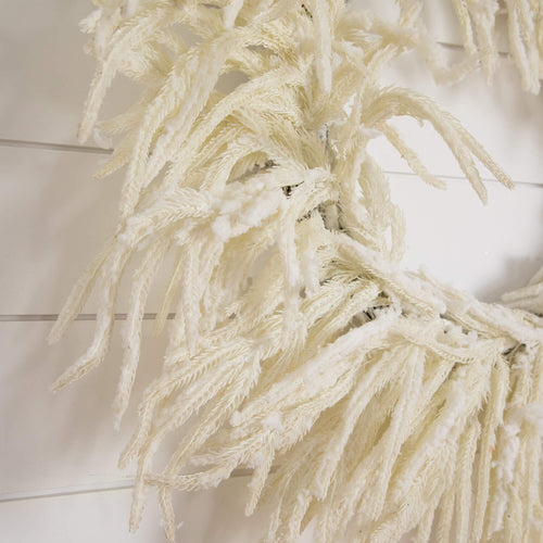24" Artificia Real Touch White Norfolk Island Pine Wreath with Natural Look - Che Cose Belle
