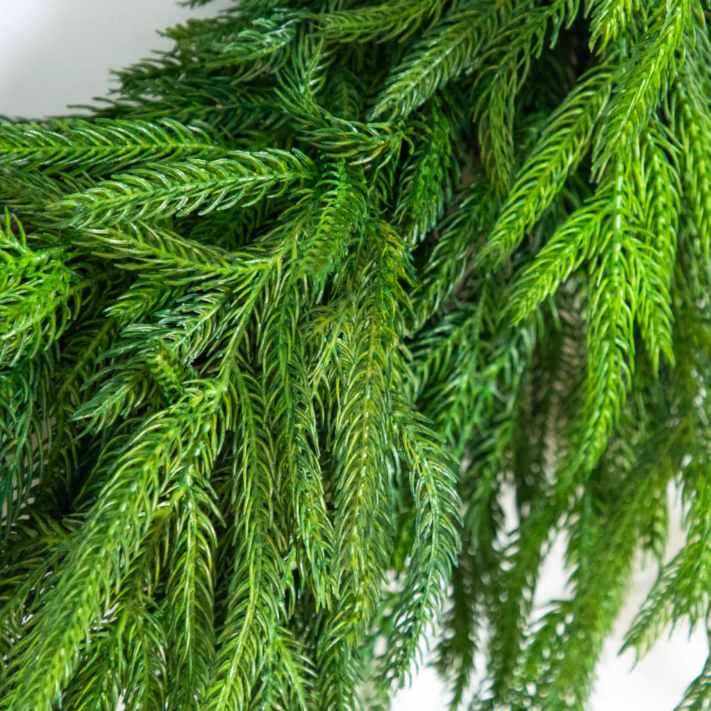 24" Artificial Real Touch Norfolk Island Pine Wreath with Natural Look - Che Cose Belle