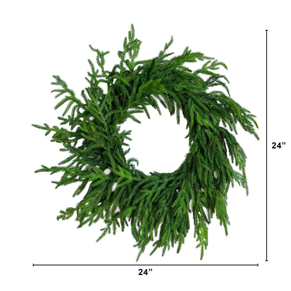 24" Artificial Real Touch Norfolk Island Pine Wreath with Natural Look - Che Cose Belle