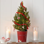 24 Piece Set- Iconic Christmas Mini Tabletop Tree Set- Hand Felted Wool Arcadia Home - Che Cose Belle