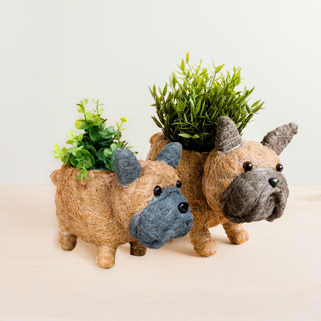 Baby French Bulldog Planter