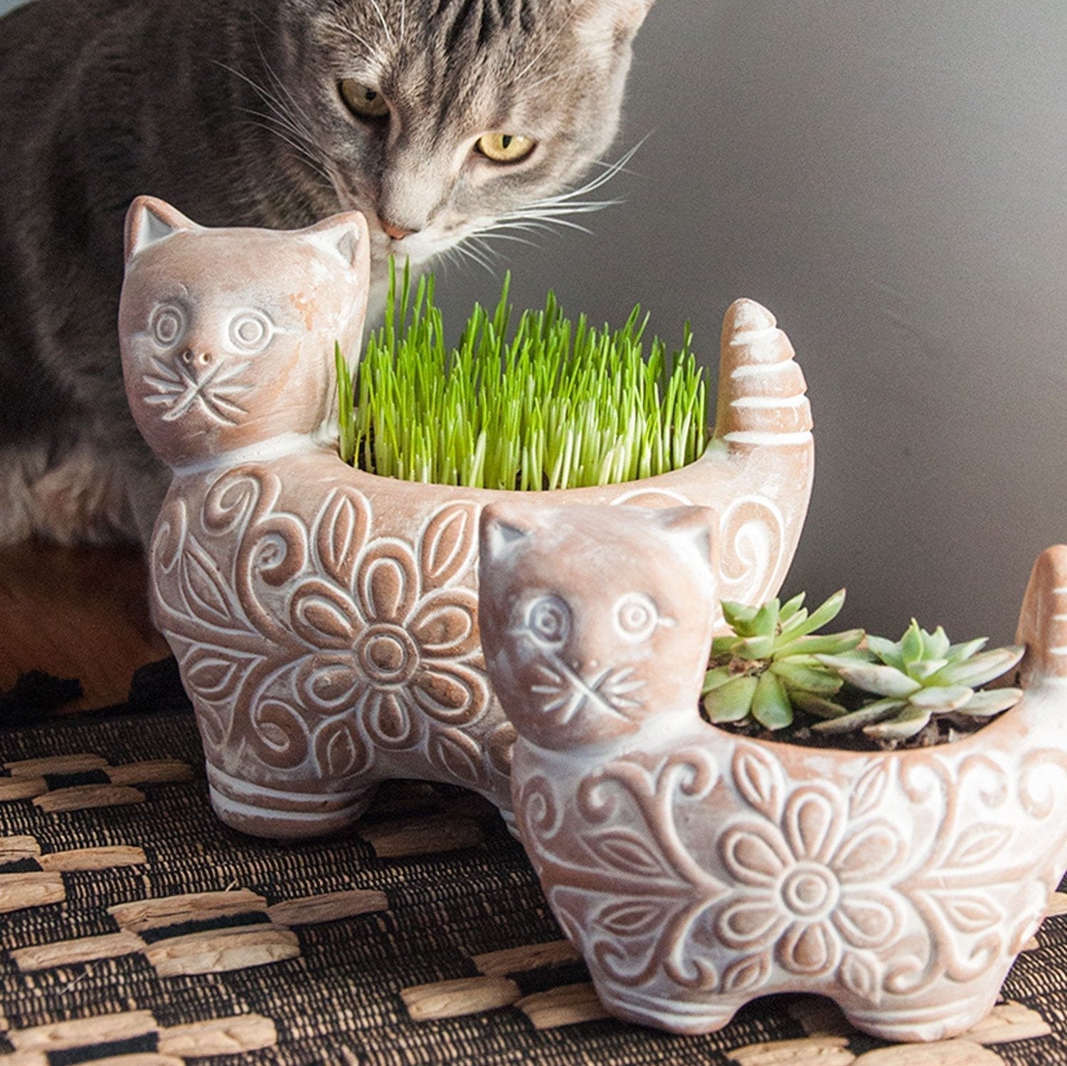 Garden Kitty Planter
