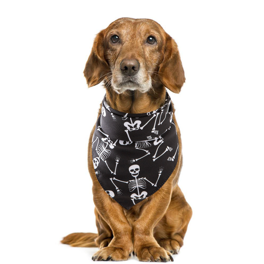 Halloween pet bandana