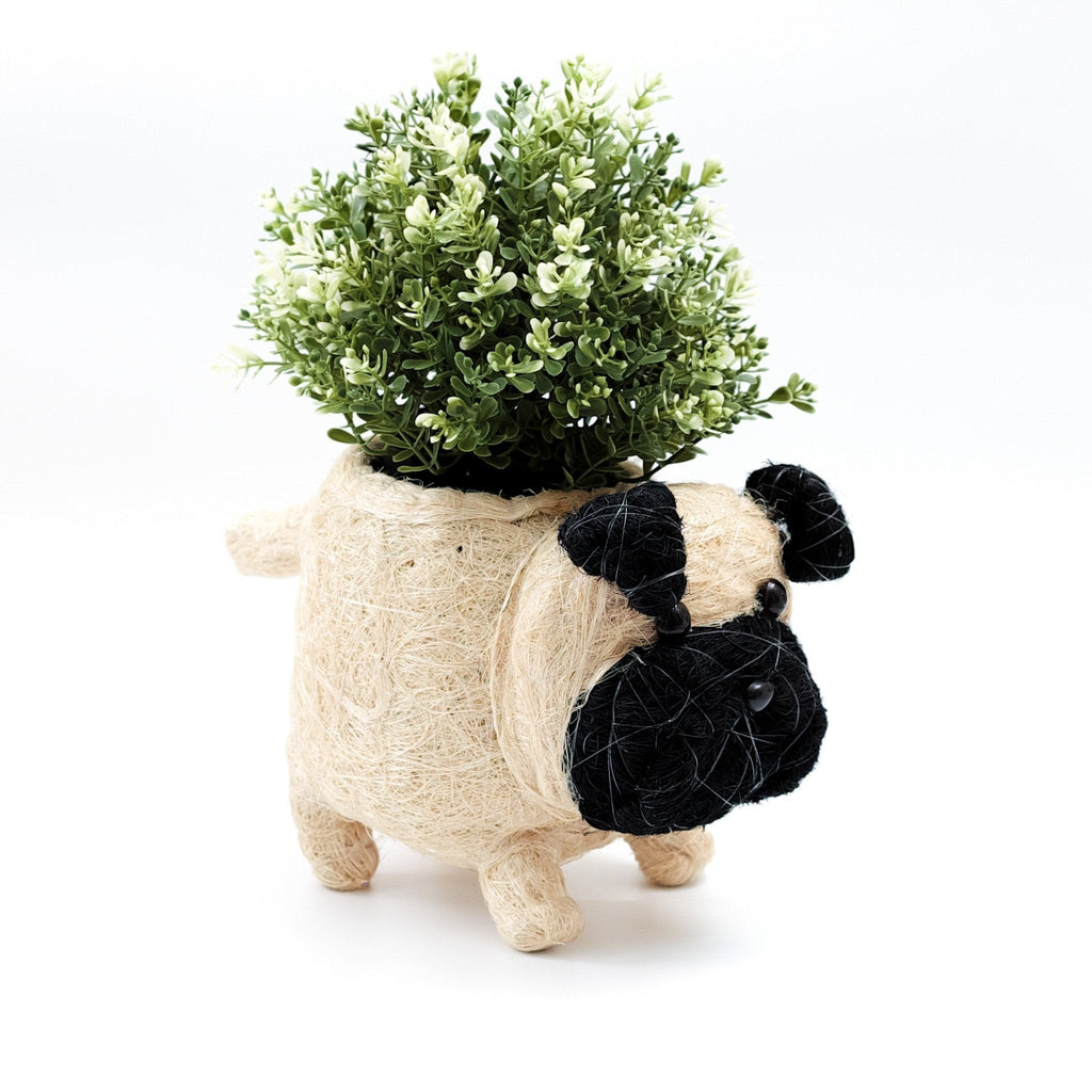 Baby Pug Planter