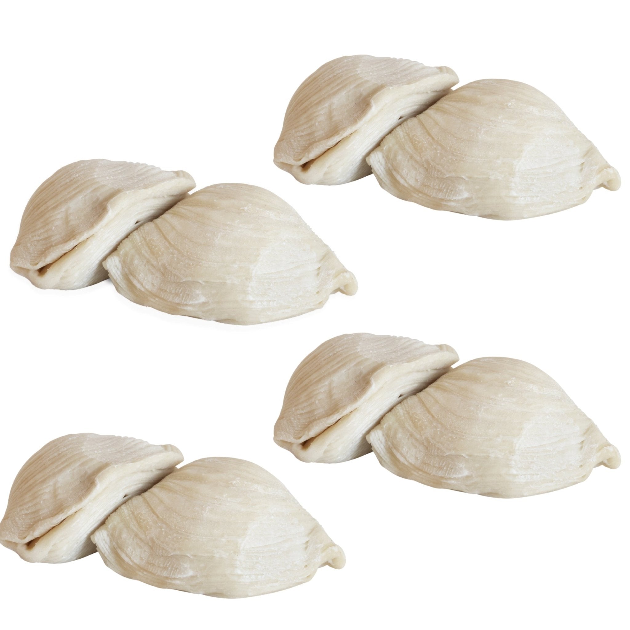 Mini Italian Sfogliatelle Take and Bake Pastries - Che Cose Belle