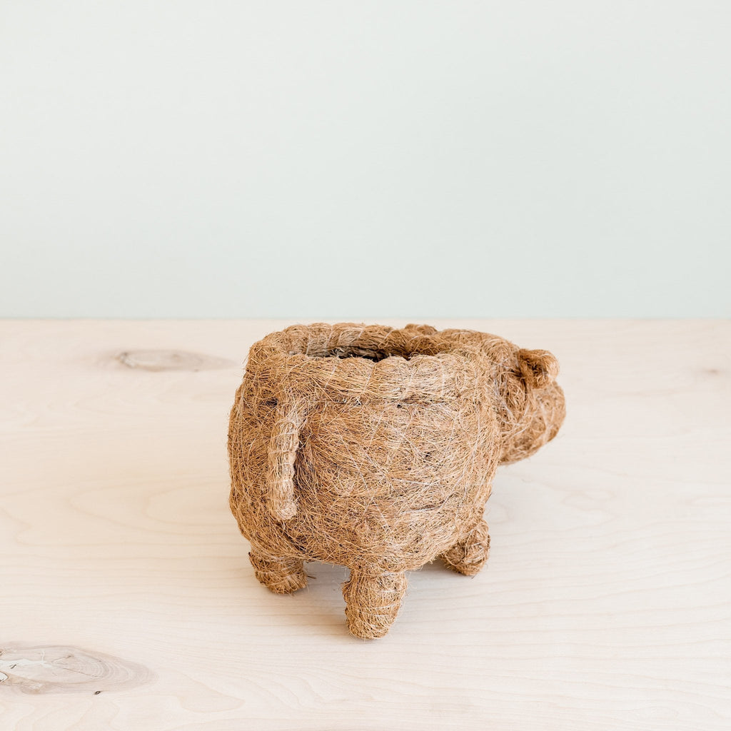 Hippo Planter - Coco Planter
