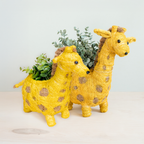 Baby Giraffe Planter