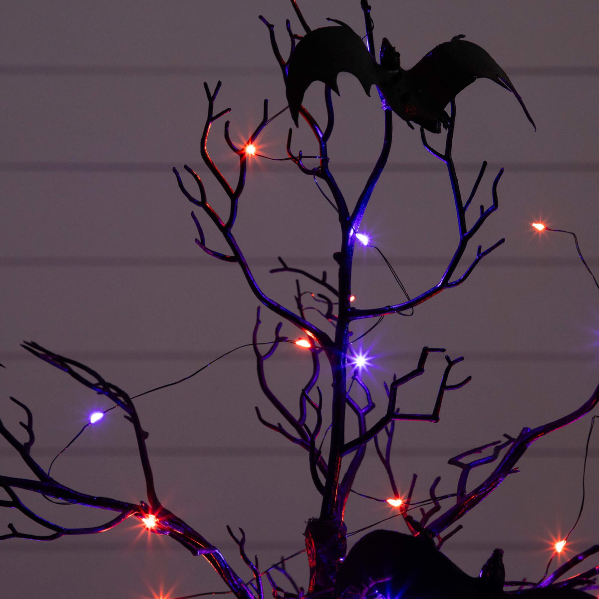 3' Pre-Lit Artificial Halloween Black Spooky Twig Tree with Bats and 100 Orange & Purple LED Lights - Che Cose Belle