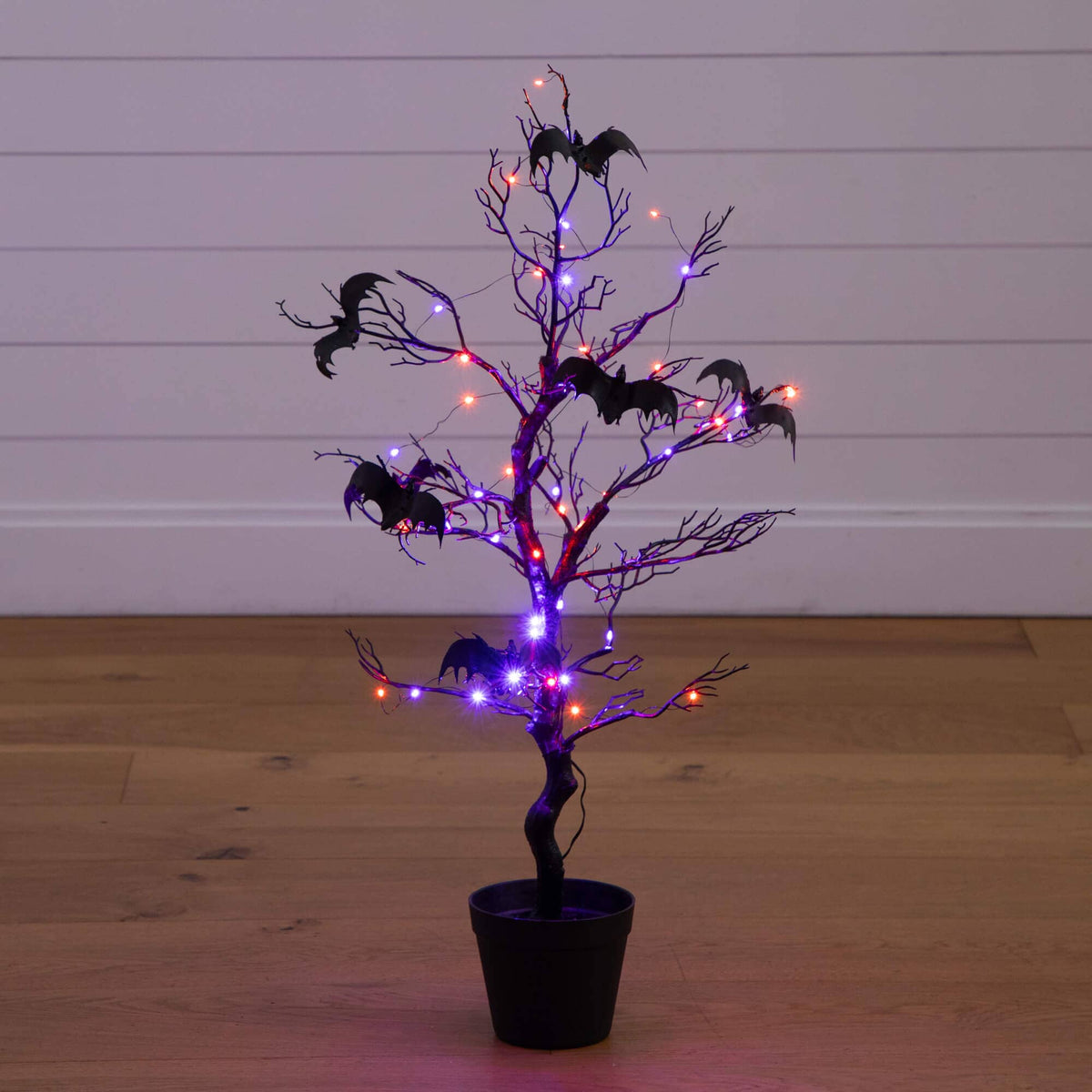 3' Pre-Lit Artificial Halloween Black Spooky Twig Tree with Bats and 100 Orange & Purple LED Lights - Che Cose Belle