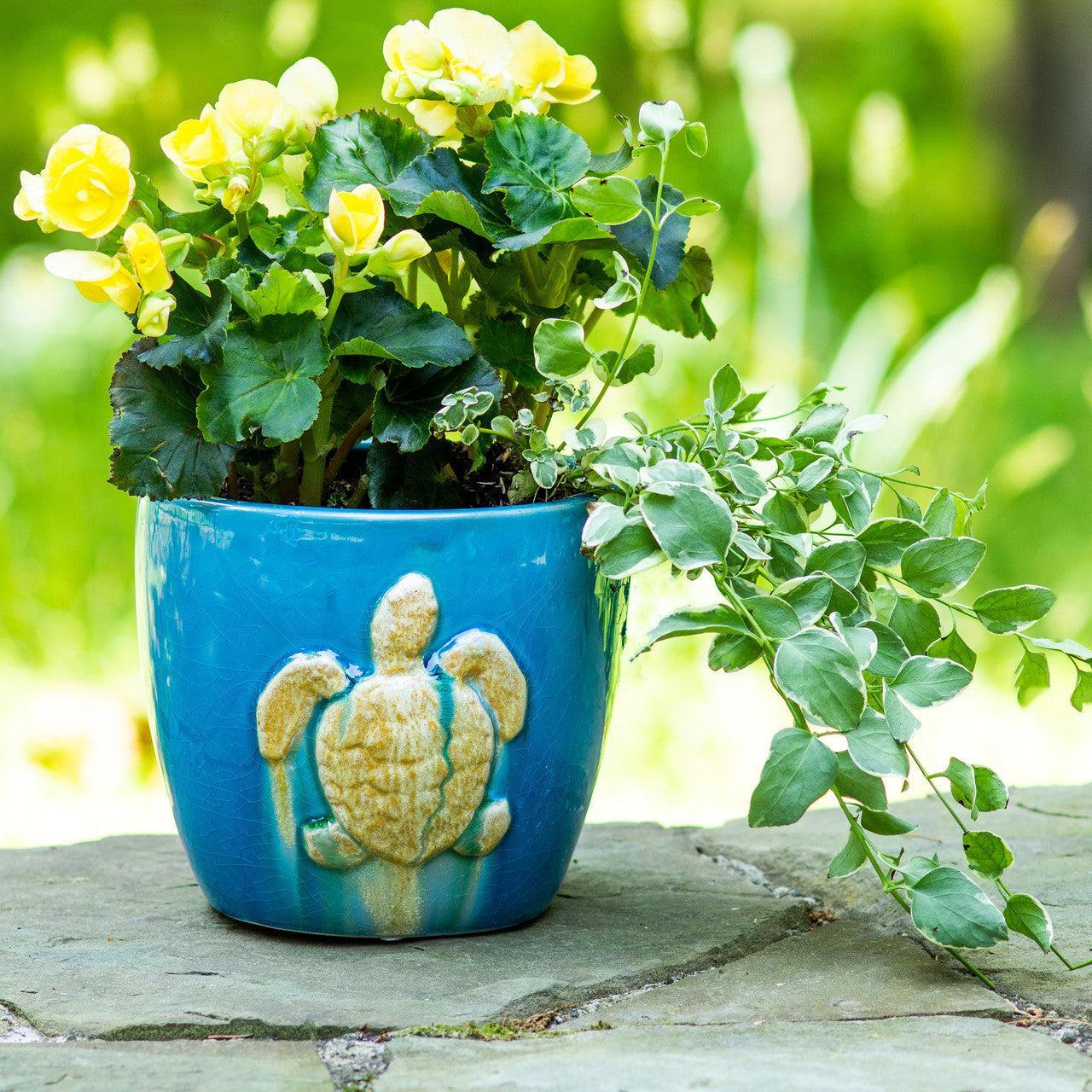Ocean Grotto Sea turtle Round Planter - Che Cose Belle