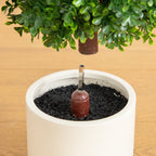 34” UV Resistant Artificial Boxwood Topiary Cone Tree in Decorative White Planter (Indoor/Outdoor) - Che Cose Belle