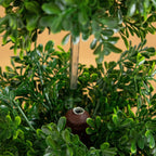 34” UV Resistant Artificial Boxwood Topiary Cone Tree in Decorative White Planter (Indoor/Outdoor) - Che Cose Belle