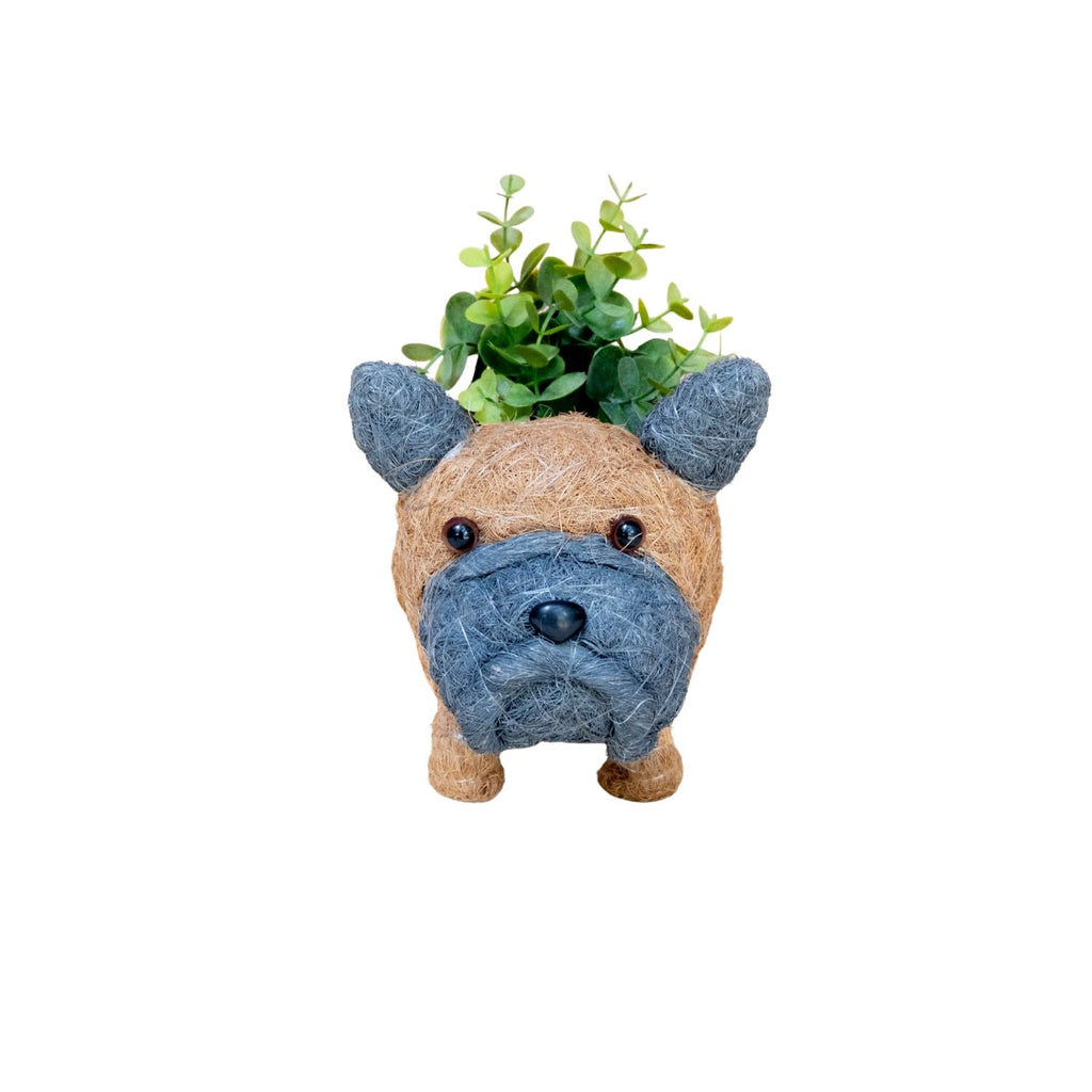 Baby French Bulldog Planter