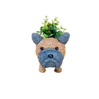 Baby French Bulldog Planter