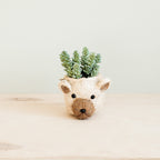 Bear Planter - Animal Head Planters