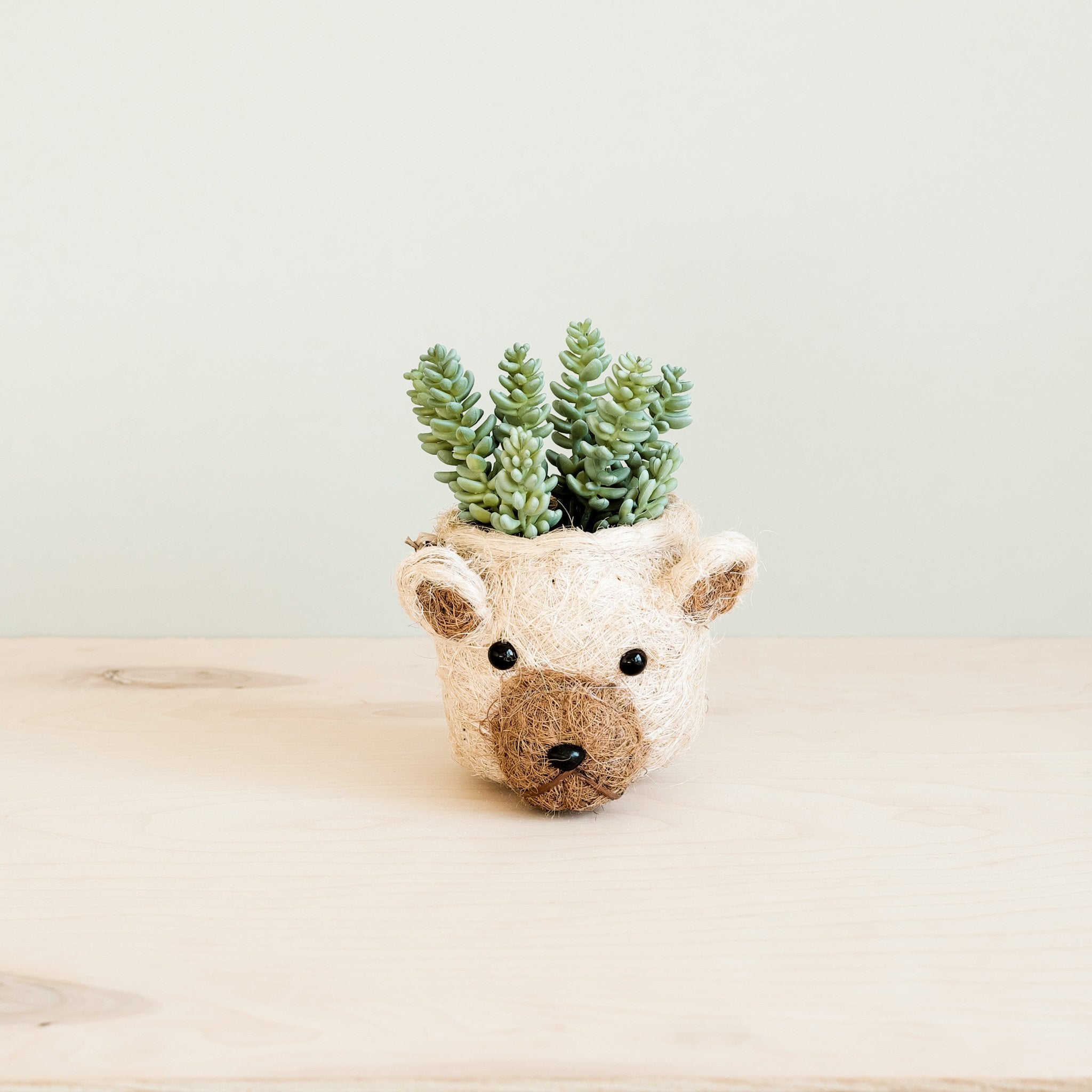 Bear Planter - Animal Head Planters