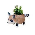 Baby Raccoon Planter - Handmade Planter | LIKHÂ