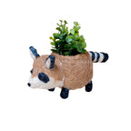 Baby Raccoon Planter - Handmade Planter | LIKHÂ