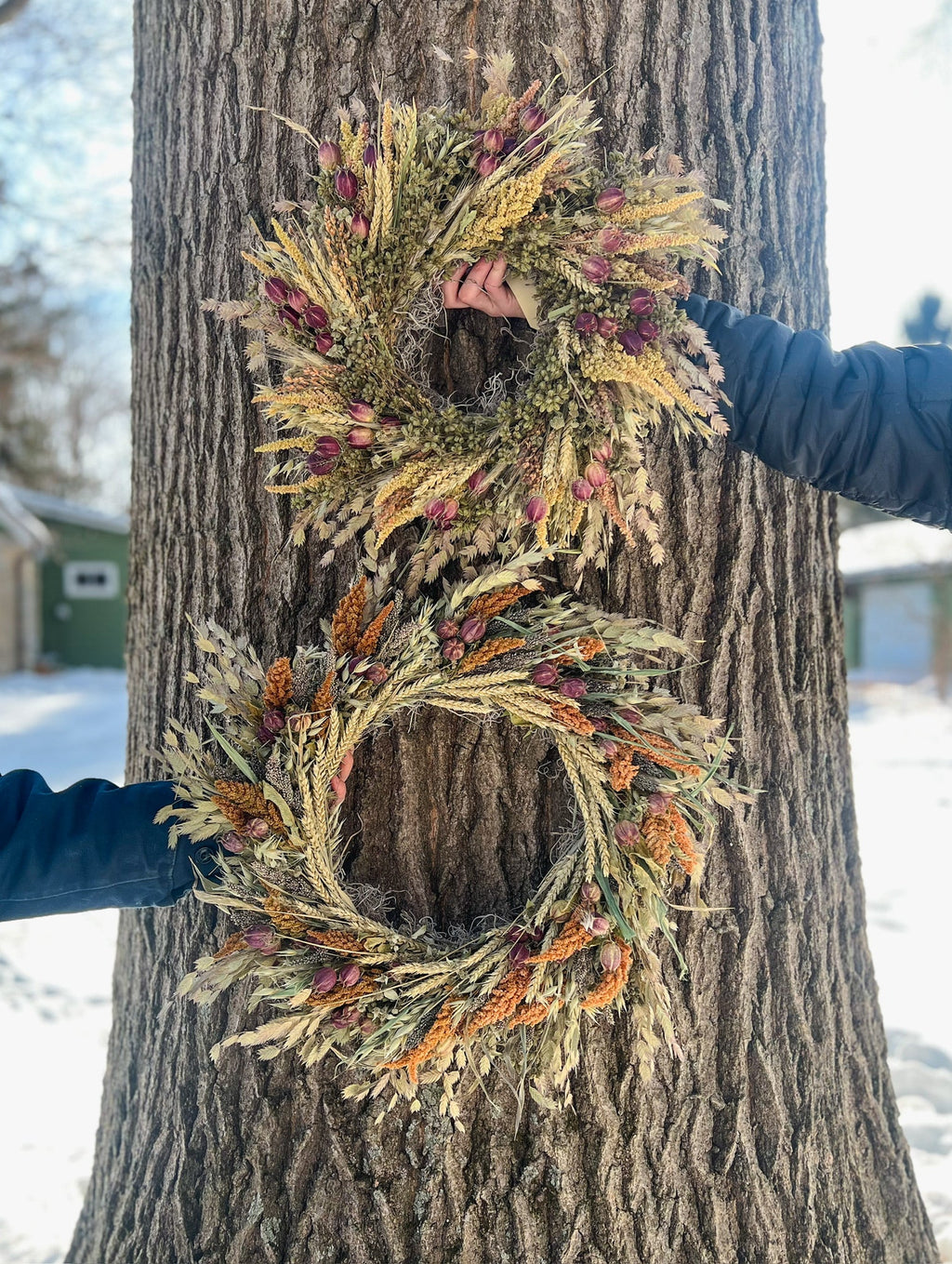 Dried Wreath-King Harvest