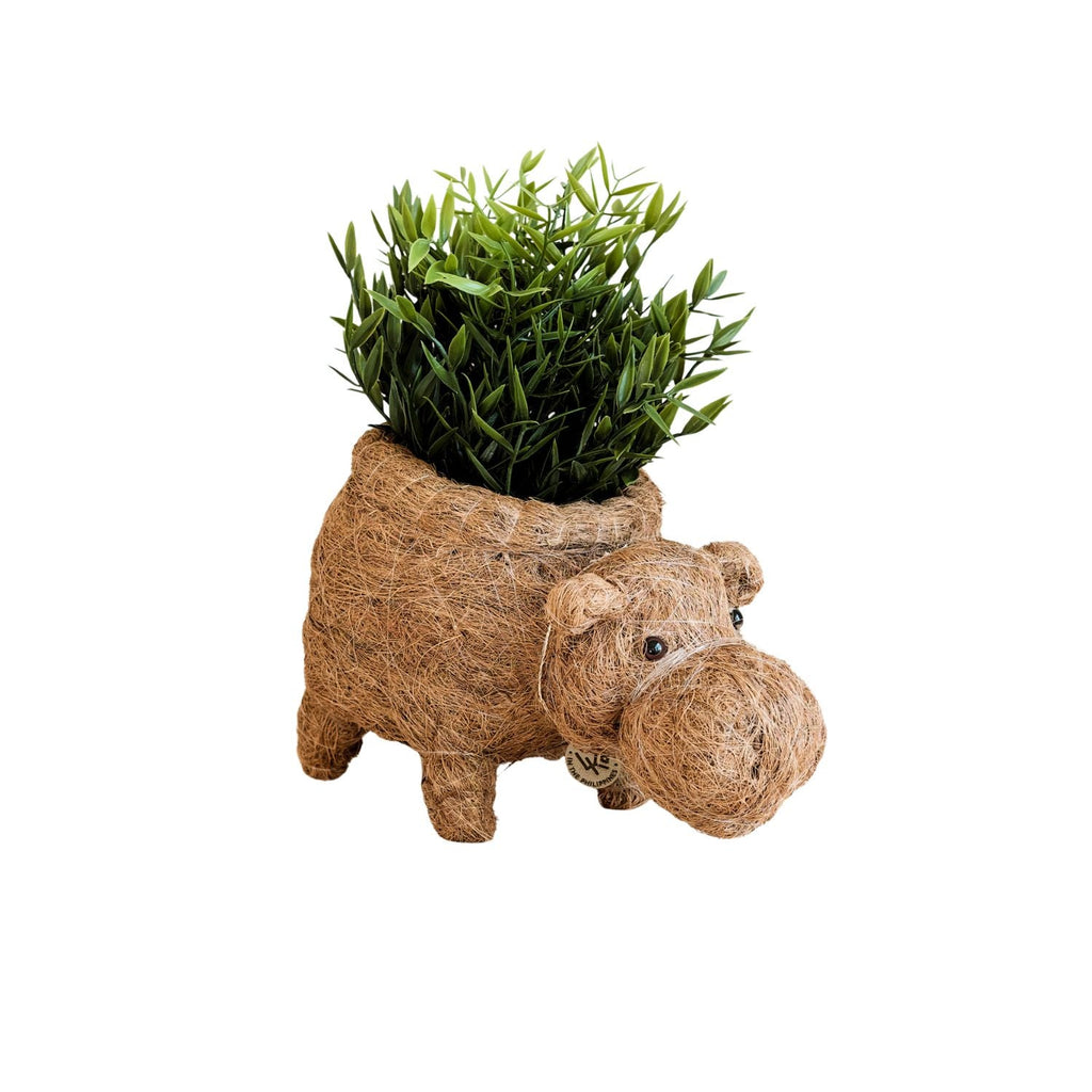 Hippo Planter - Coco Planter