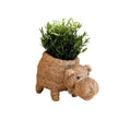 Hippo Planter - Coco Planter