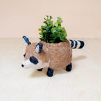 Baby Raccoon Planter - Handmade Planter | LIKHÂ