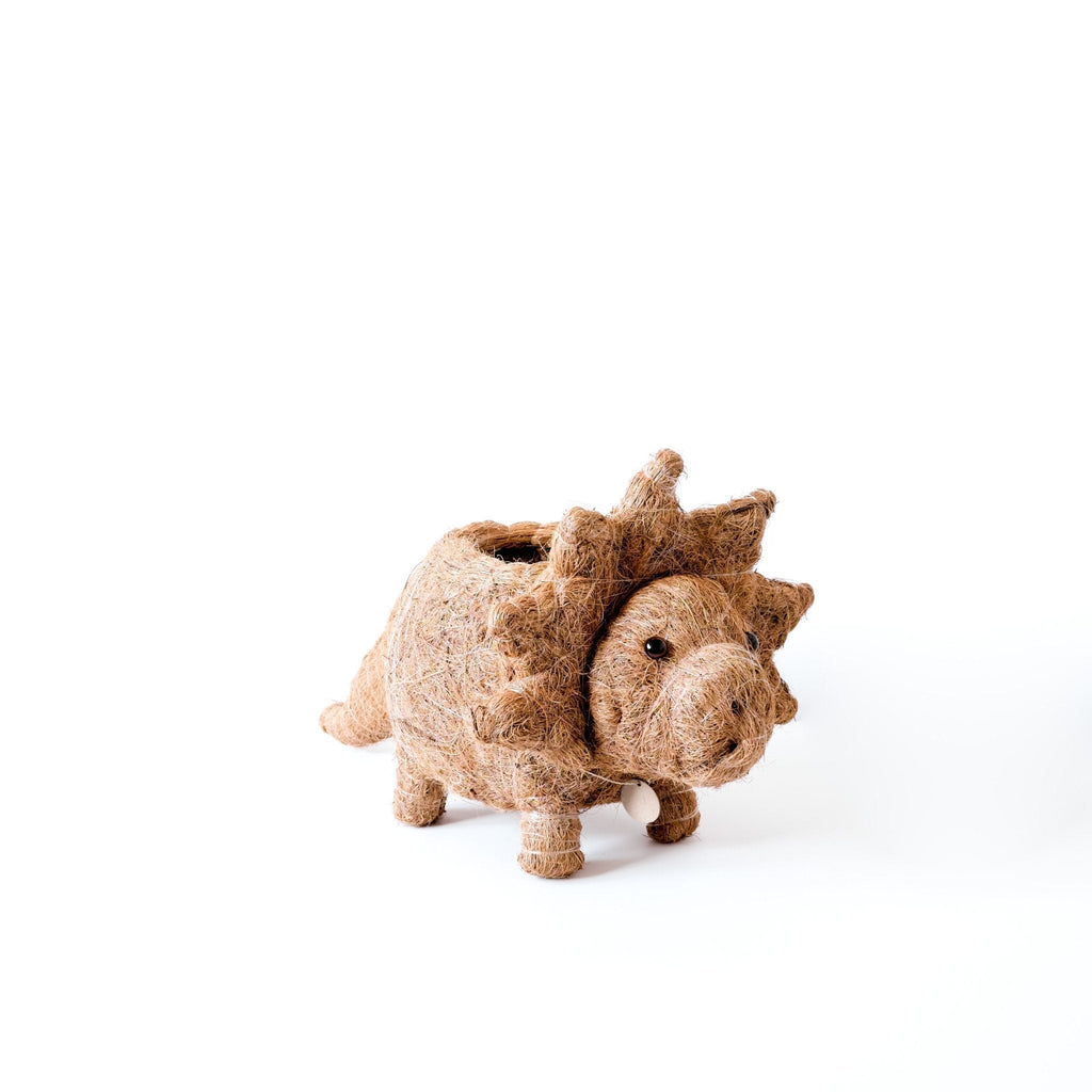 Baby Triceratops Planter