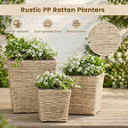 Rattan Planter Box Set - 3 Piece with Removable Liners