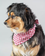 GINGHAM BANDANA