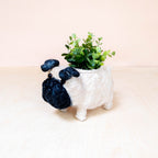 Baby Pug Planter