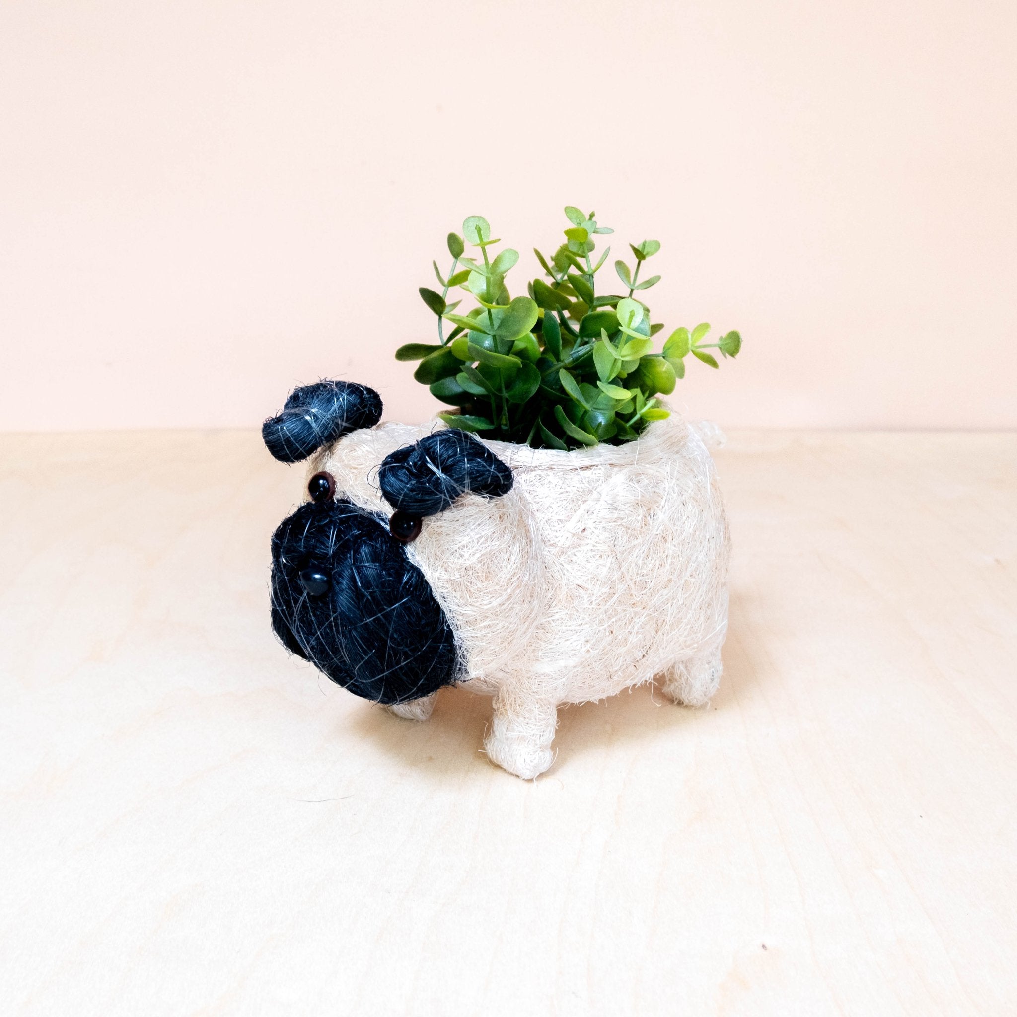 Baby Pug Planter