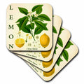 3dRose Lemon Kitchen Art - Citrus Fruit Tree Leaves Flowers Plant Print - Coasters (cst-365429) - Che Cose Belle