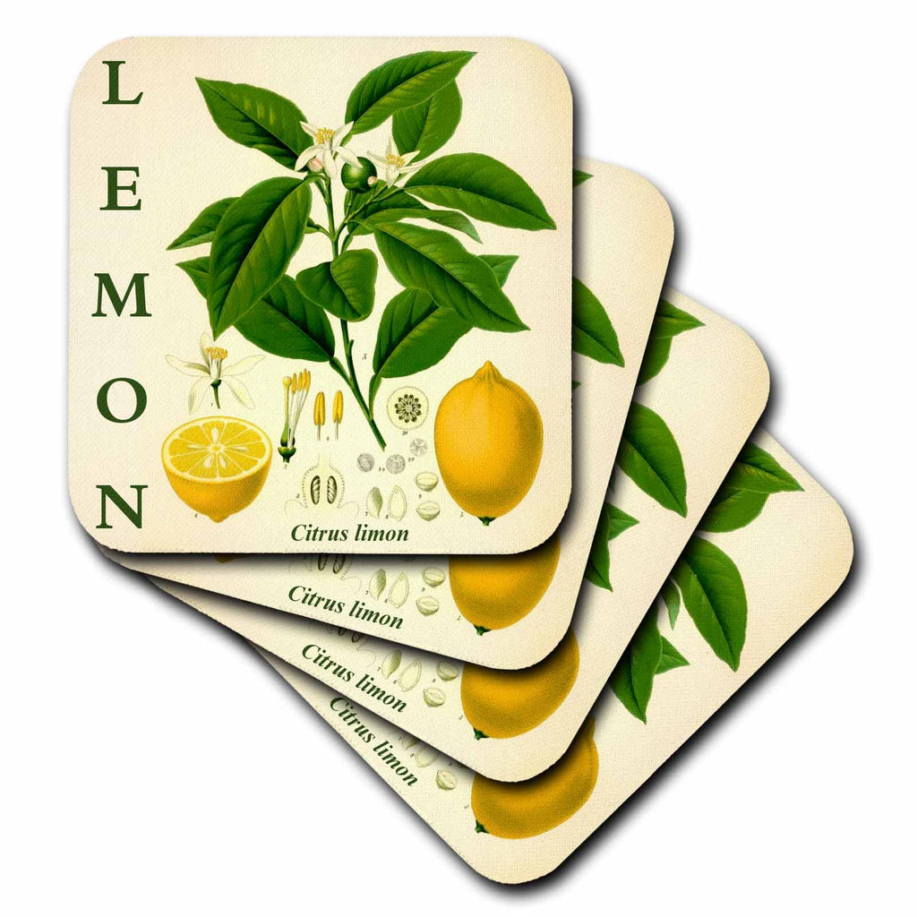 3dRose Lemon Kitchen Art - Citrus Fruit Tree Leaves Flowers Plant Print - Coasters (cst-365429) - Che Cose Belle