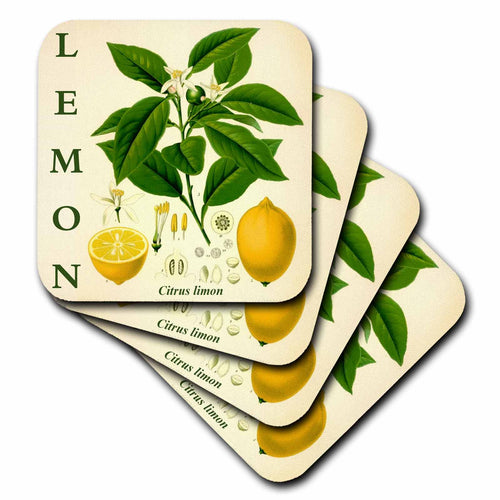 3dRose Lemon Kitchen Art - Citrus Fruit Tree Leaves Flowers Plant Print - Coasters (cst-365429) - Che Cose Belle