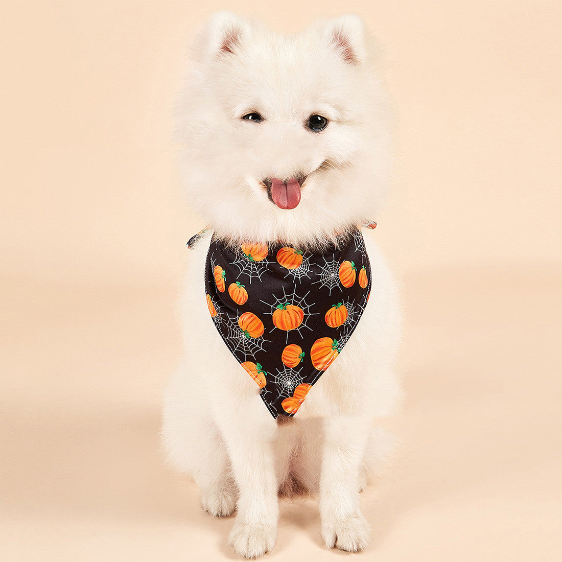 Halloween Double-Sided Pet Bandana