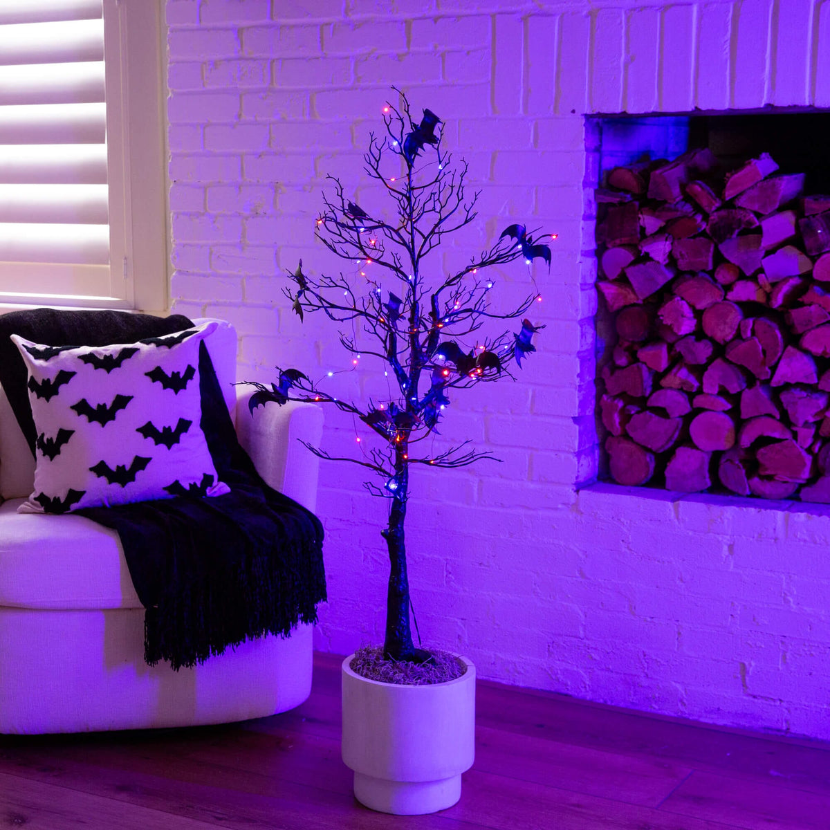 4' Pre-Lit Artificial Halloween Black Spooky Twig Tree with Bats and 120 Orange & Purple LED Lights - Che Cose Belle