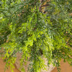 4’ Pre-Lit Artificial Snowed Cypress Christmas Tree with 120 LED Lights in Hyacinth Basket - Che Cose Belle