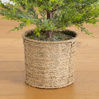 4’ Pre-Lit Artificial Snowed Cypress Christmas Tree with 120 LED Lights in Hyacinth Basket - Che Cose Belle