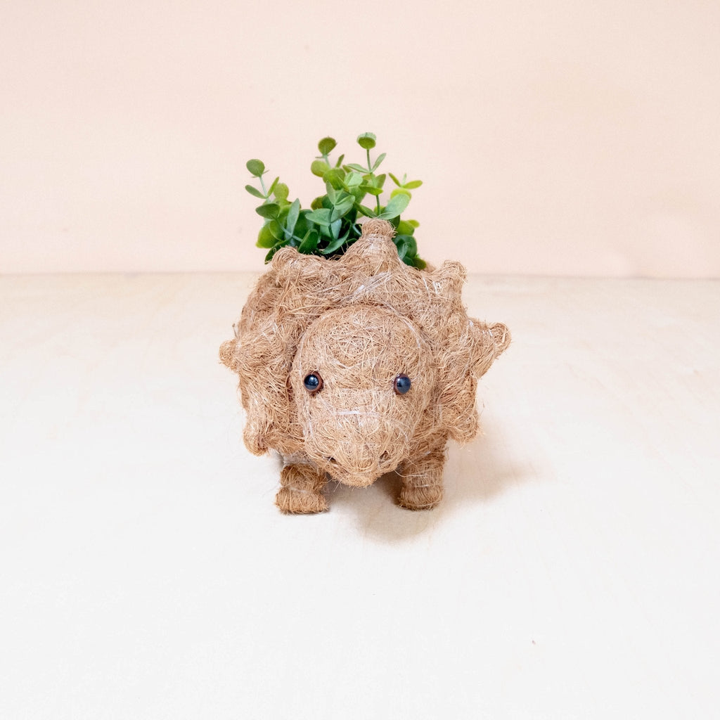 Baby Triceratops Planter