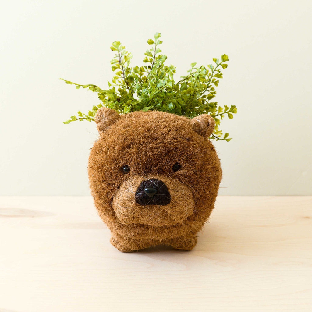 Chow Chow Planter