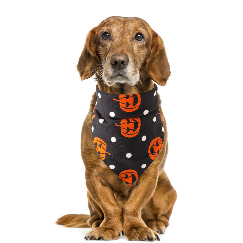 Halloween pet bandana