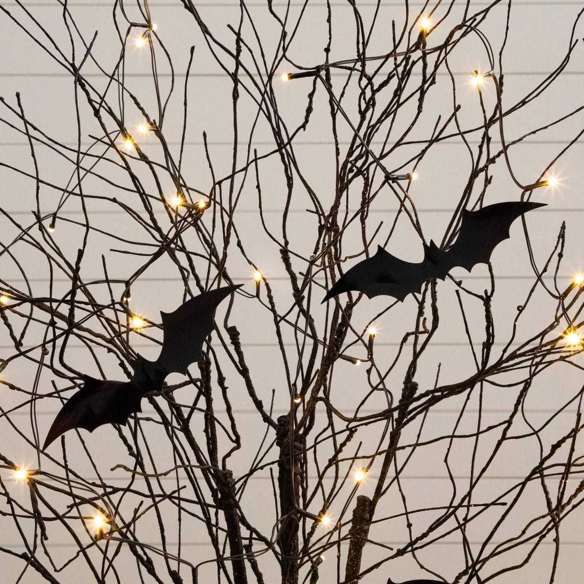 5' Pre-Lit Artificial Halloween Black Twig Tree with Bats and 50 Warm White LED Lights - Che Cose Belle