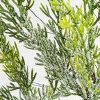 5’ Pre-Lit Artificial Snowed Cypress Christmas Tree with 140 LED Lights in Hyacinth Basket - Che Cose Belle