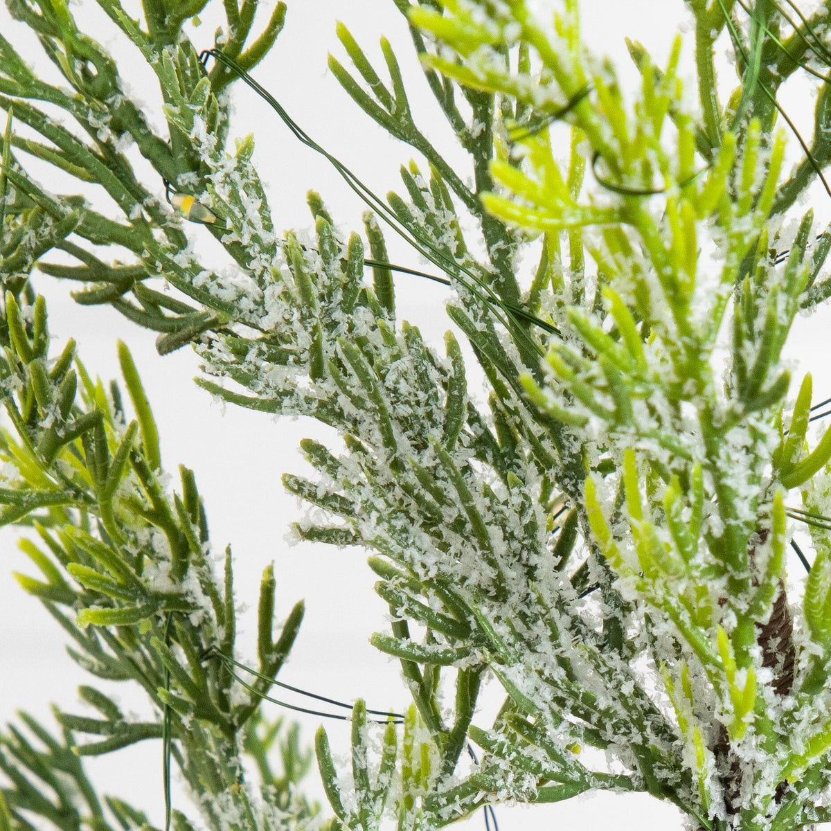 5’ Pre-Lit Artificial Snowed Cypress Christmas Tree with 140 LED Lights in Hyacinth Basket - Che Cose Belle