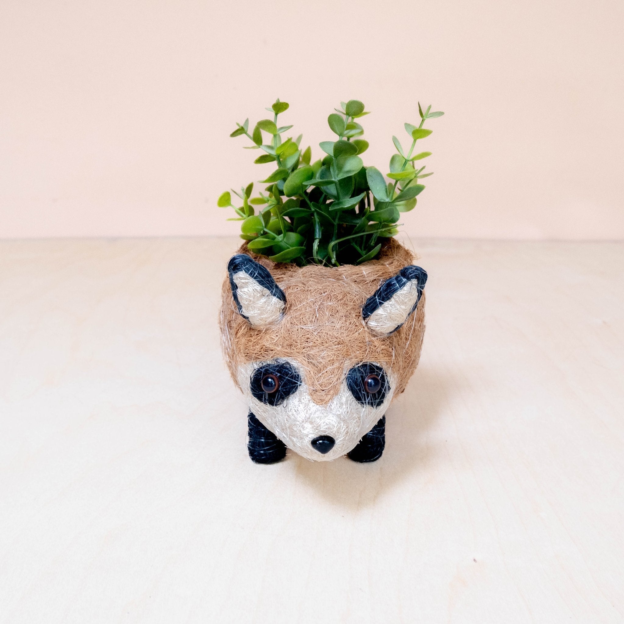 Baby Raccoon Planter - Handmade Planter | LIKHÂ