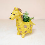 Baby Giraffe Planter