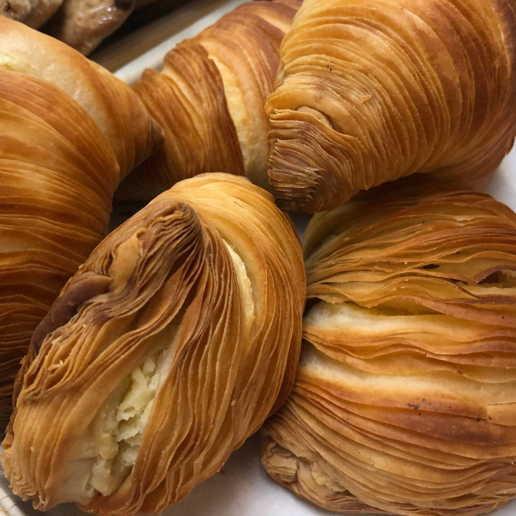 Large Italian Sfogliatelle Take and Bake Pastries - Che Cose Belle