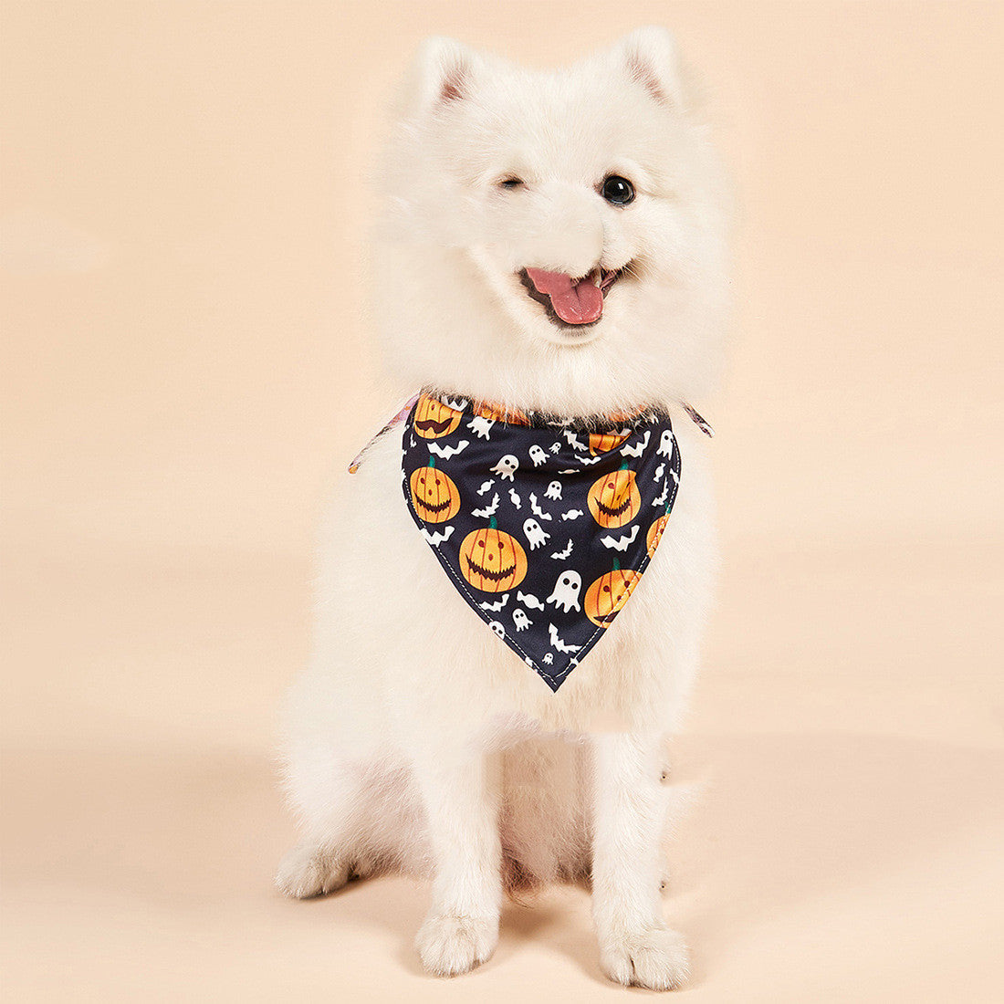 Halloween Double-Sided Pet Bandana