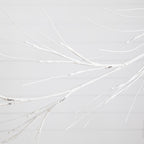 6’ Pre-Lit Artificial White Birch Garland with 48 Warm White LED Lights - Che Cose Belle